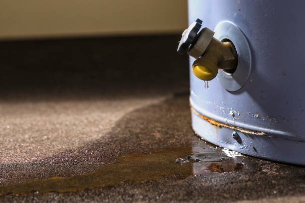 Best Flood restoration services  in Brownville, NJ