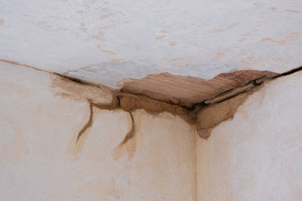 Best Basement water damage restoration  in Brownville, NJ
