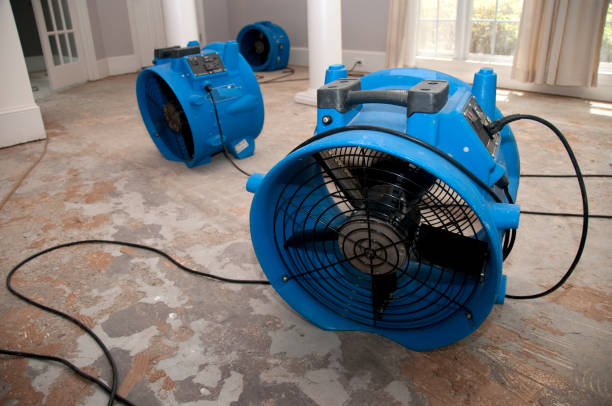 Best 24-hour water damage restoration  in Brownville, NJ