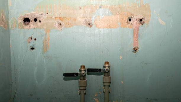 Best Professional water damage repair  in Brownville, NJ