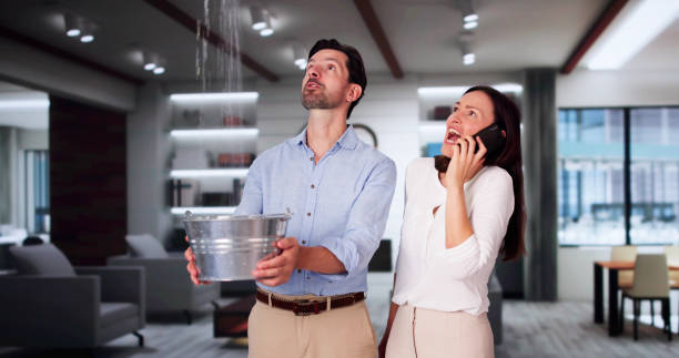 Best Sewage cleanup and water damage restoration  in Brownville, NJ